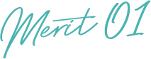 Merit 01