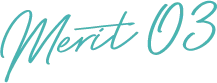 Merit 03